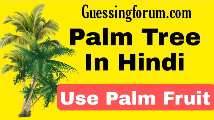 Palm Tree ke Fayede Aur Palm Fruit In hindi