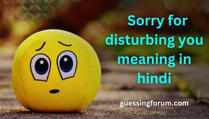 sorry for disturbing you meaning in hindi | sorry for disturbing you का मतलब क्या होगा?
