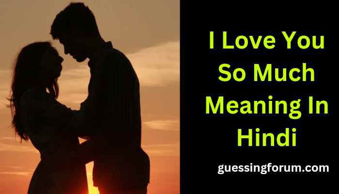 I Love You So Much Meaning In Hindi | आई लव यू सो मच का मतलब