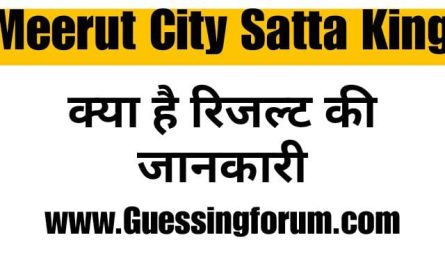 Meerut City Satta King | Meerut City Satta Chart | Result Today
